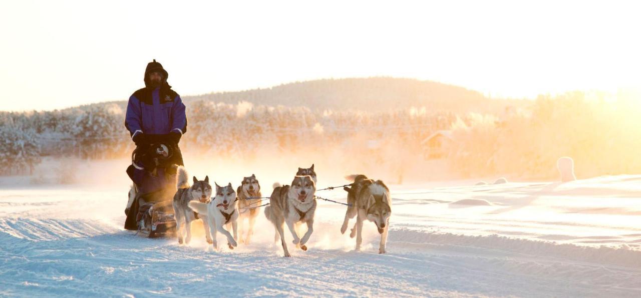Northern Lights Village Levi Exterior foto