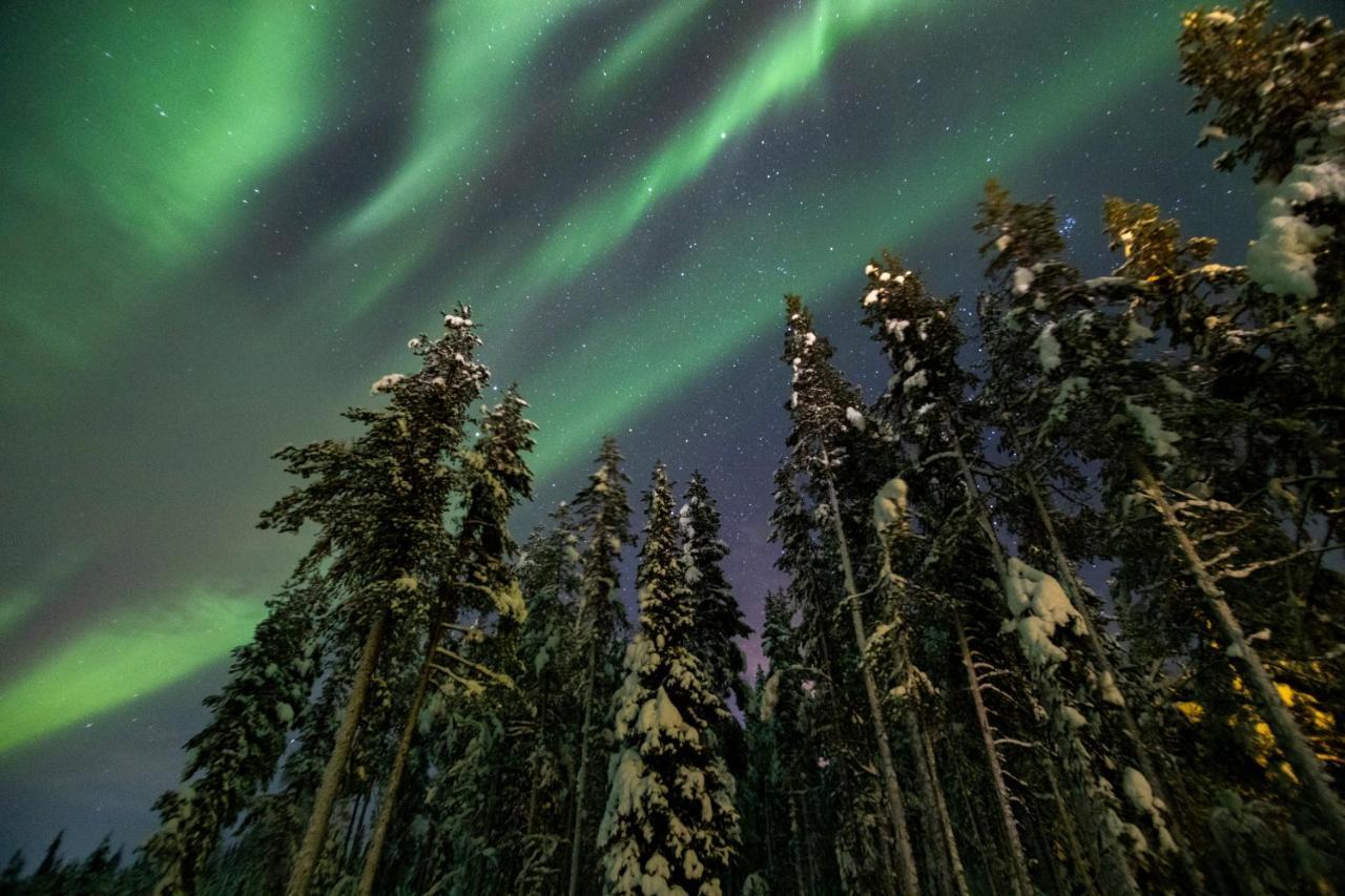 Northern Lights Village Levi Exterior foto